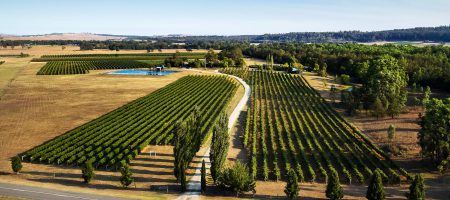 vigneti vigneti vista aerea dal drone