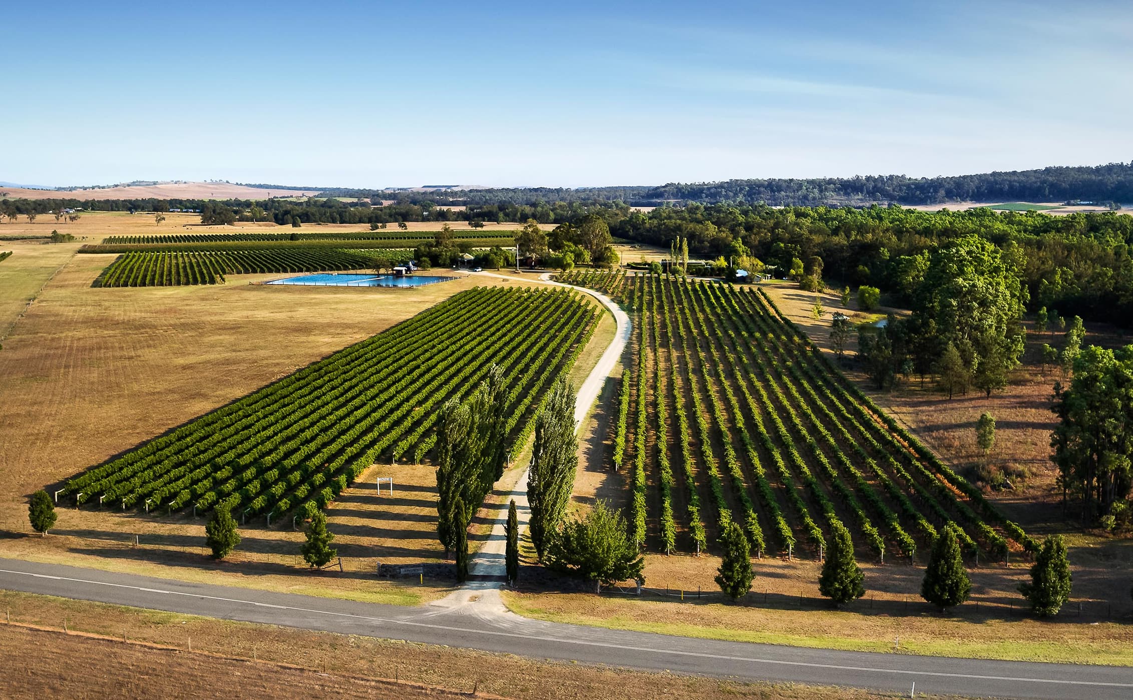 vigneti vigneti vista aerea dal drone