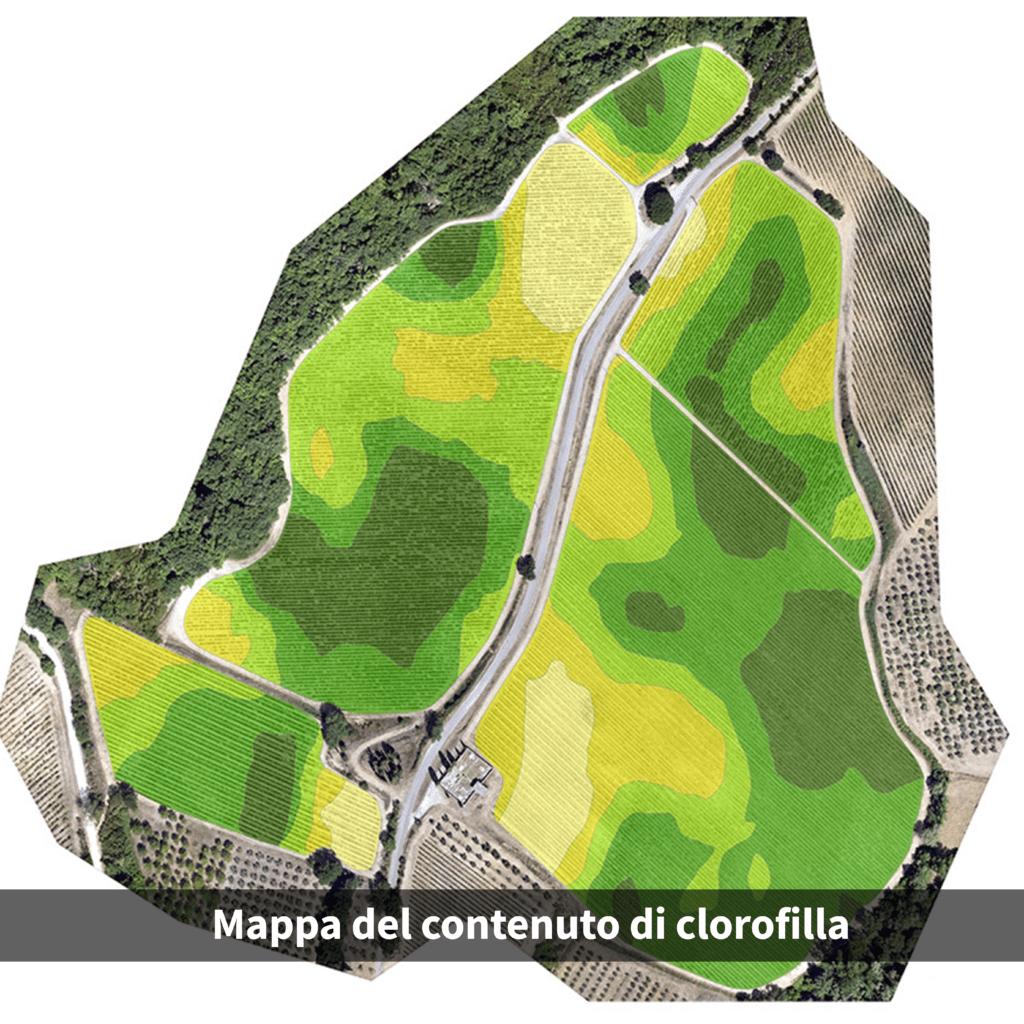 Mappa del contenuto di clorofilla